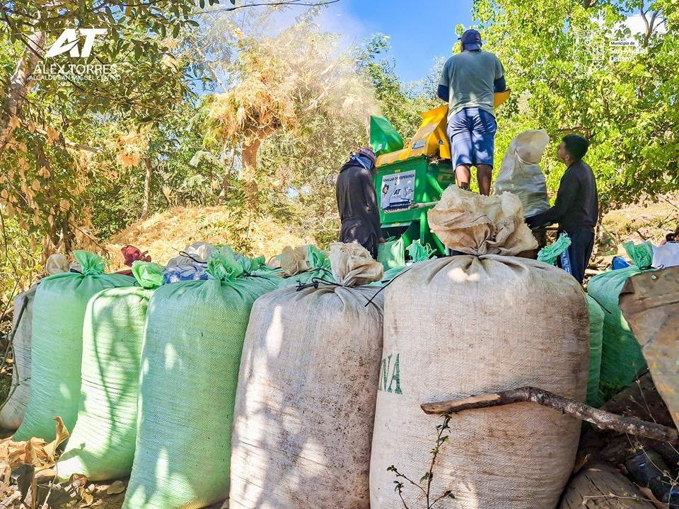 600973238 1169231251986691 7659654338064904055 n