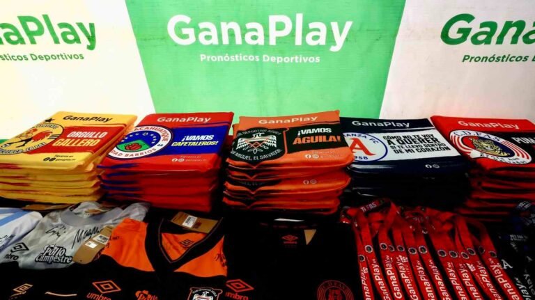 WhatsApp Image 2026 01 27 at 4.15.35 PM 768x431 1