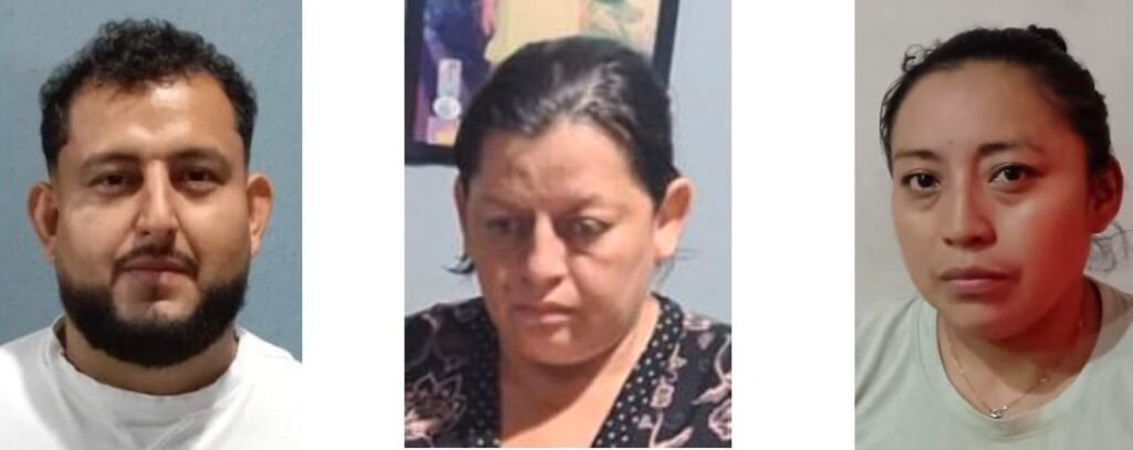 657511851 949779944090908 5630214004750915795 n